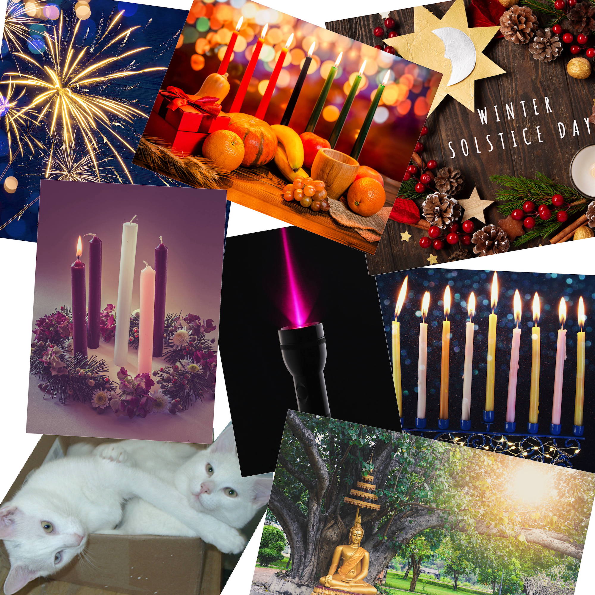 cats, Advent candles, fireworks, Kwanzaa candles, Solstice candles, Hanukkah candles, statue of the Buddha under bright sin and a flashlight, representing holidays in December